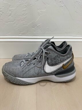 Nike Zoom LeBron NXXT Gen Wolf Grey Men's 8.5 Basketball Shoe DR8784-004